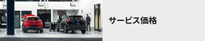 サービス価格